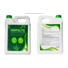 HERPALTO - HERPALTO tăng cường chức năng gan, bổ gan