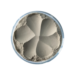 YEAST CELL WALL - YEAST CELL WALL - Vách tế bào nấm men