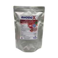 Rhodopseudomonas palustris - RHODO X