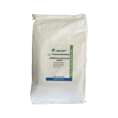 ENTEROCOCCUS FAECALIS 20B (SOLUBLE) - Vi sinh ENTEROCOCCUS FAECALIS 20B (SOLUBLE)