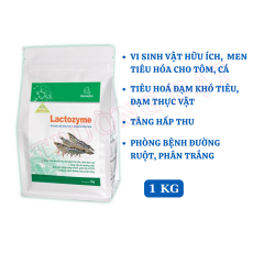LACTOZYME - LACTOZYME - Vi sinh vật hữu ích và enzyme tiêu hóa