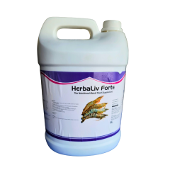 HERBALIV FORTE - Dược thảo bổ gan - Hỗ trợ gan tụy - HERBALIV FORTE - Phục hồi và tái tạo gan, tụy
