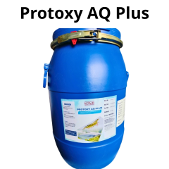 PROTOXY AQ PLUS – Enzyme Ấn Độ - PROTOXY AQ PLUS – Enzyme Ấn Độ - cải thiện môi trường ao nuôi và hỗ trợ tiêu hóa