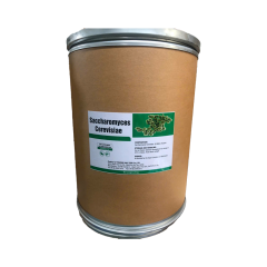 SACCHAROMYCES CEREVISIAE - SACCHAROMYCES CEREVISIAE nấm men đậm đặc hàm lượng 10 tỷ CFU/g