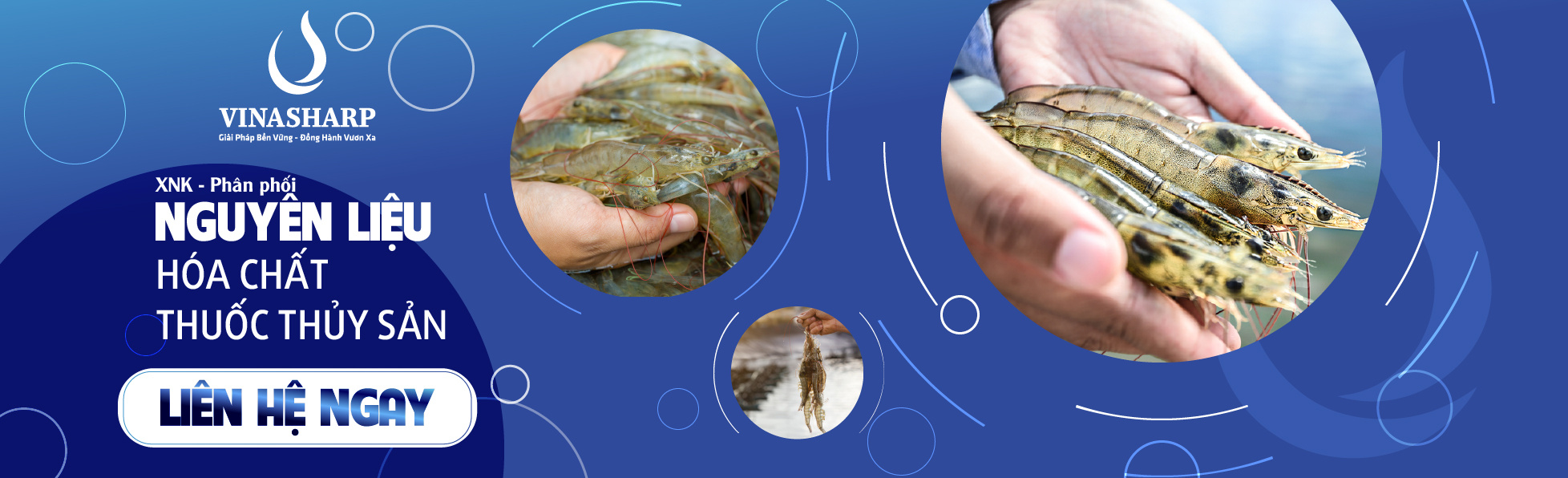 VINASHARP VIỆT NAM