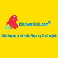 chicken1000.com